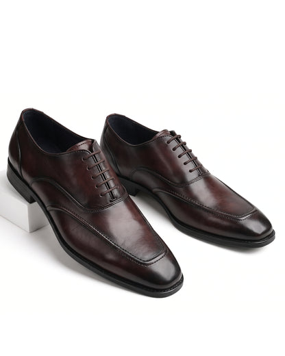Signore Signature-Stitch Oxford Shoes | Royal Brown
